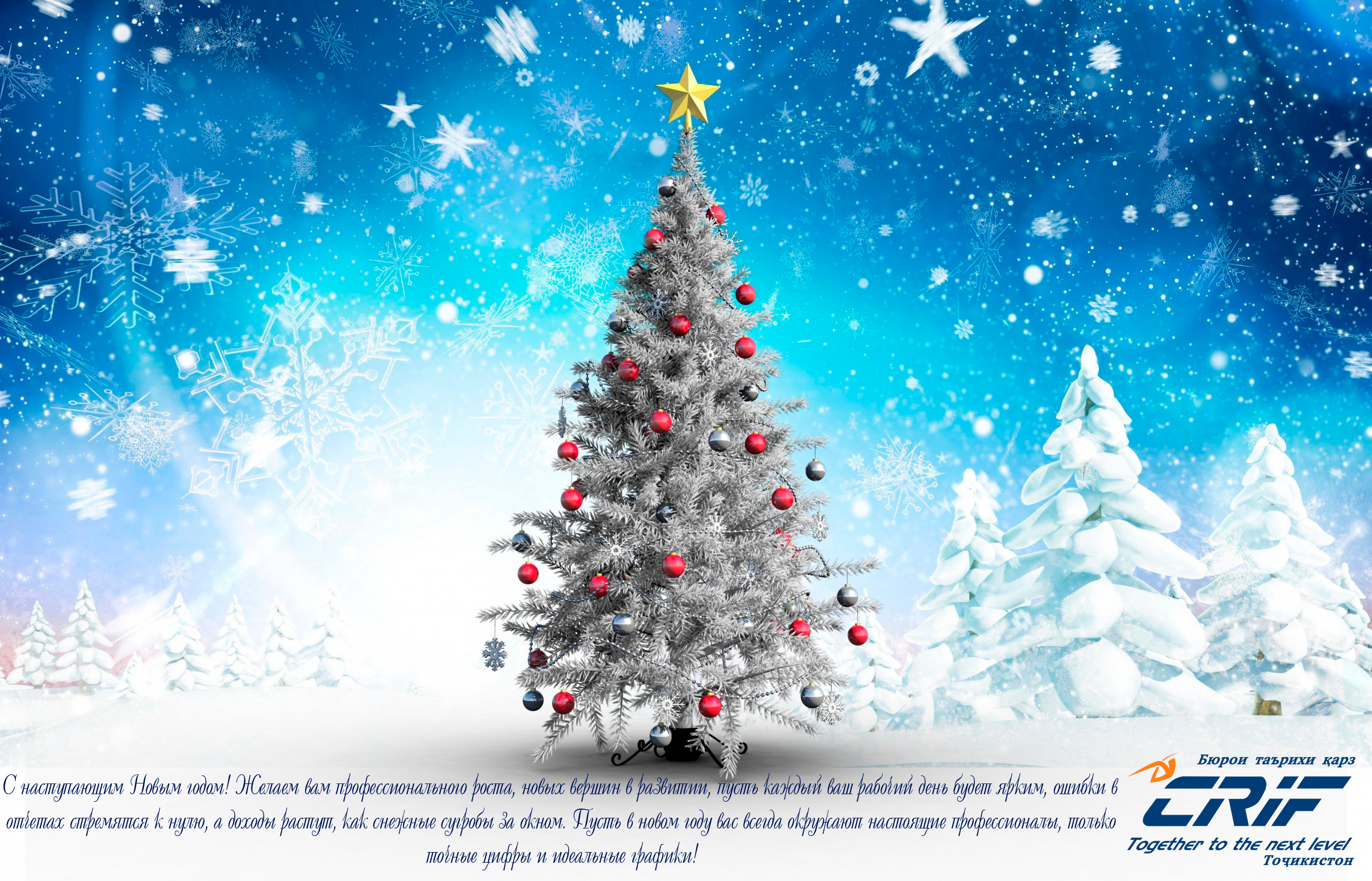 1613290008 64 P Sinii Fon Yelka 87